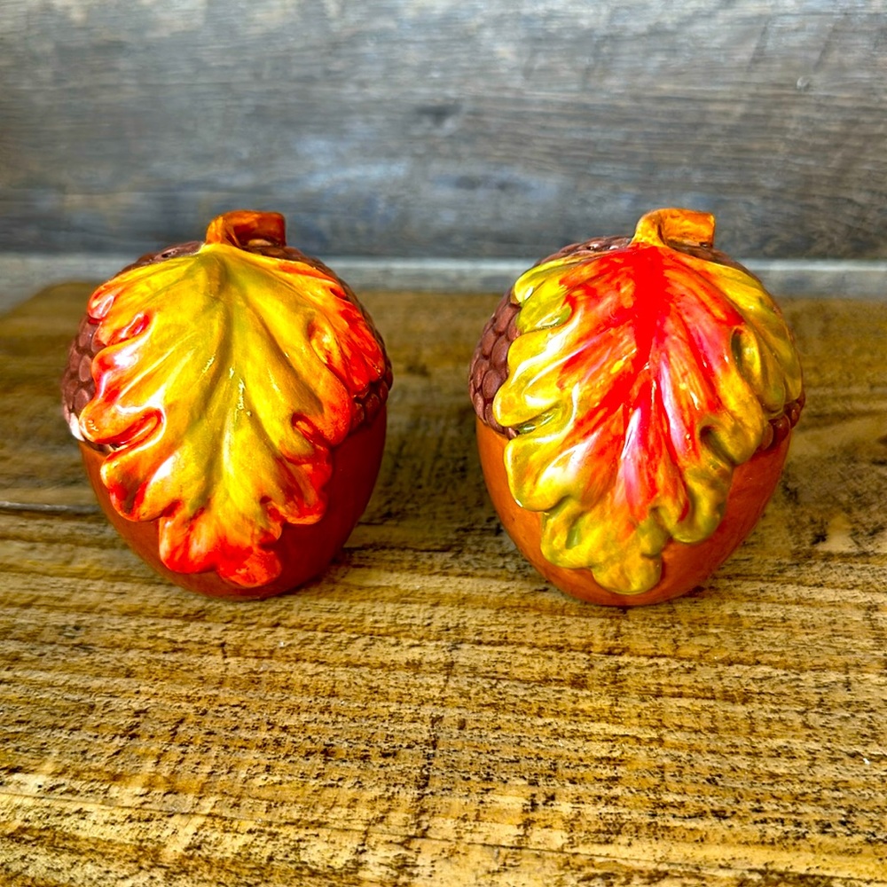 Fall themed acorn salt pepper shaker